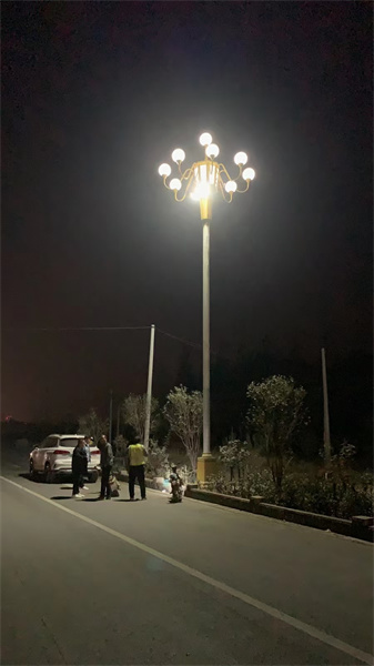 LED看片免费在线观看銷售